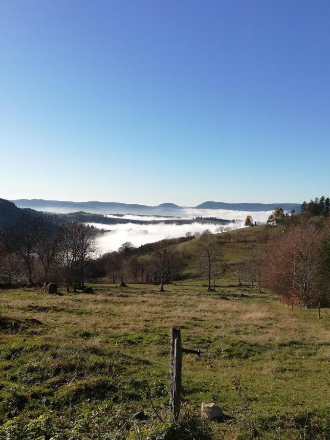 Vila Domaine De Siane Plaine Exteriér fotografie