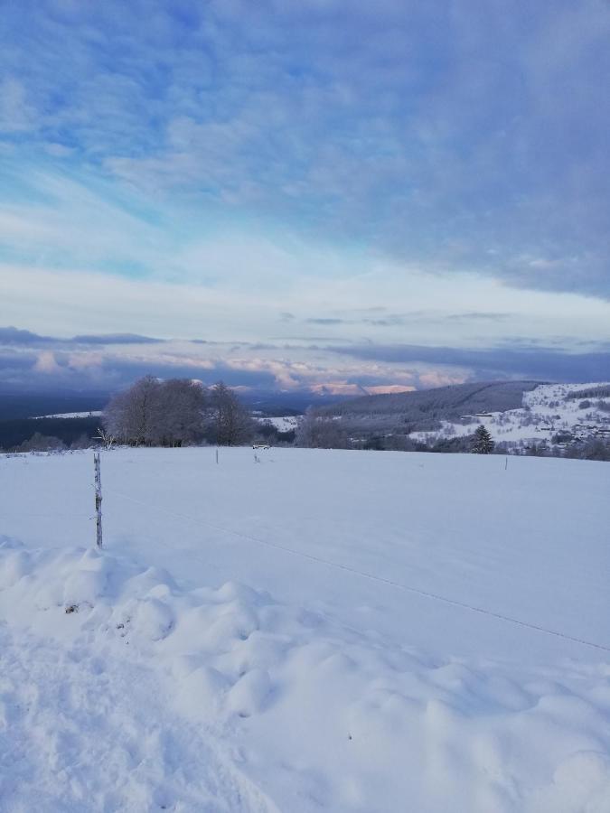 Vila Domaine De Siane Plaine Exteriér fotografie